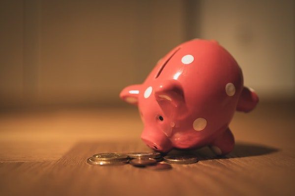 Piggy bank sniffs money as if like retirement savings accounts to reserve capital long term