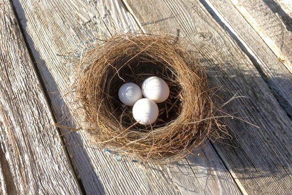 Eggs in a nest as a symbol of cash put into a retirement account to achieve long-term financial goals.